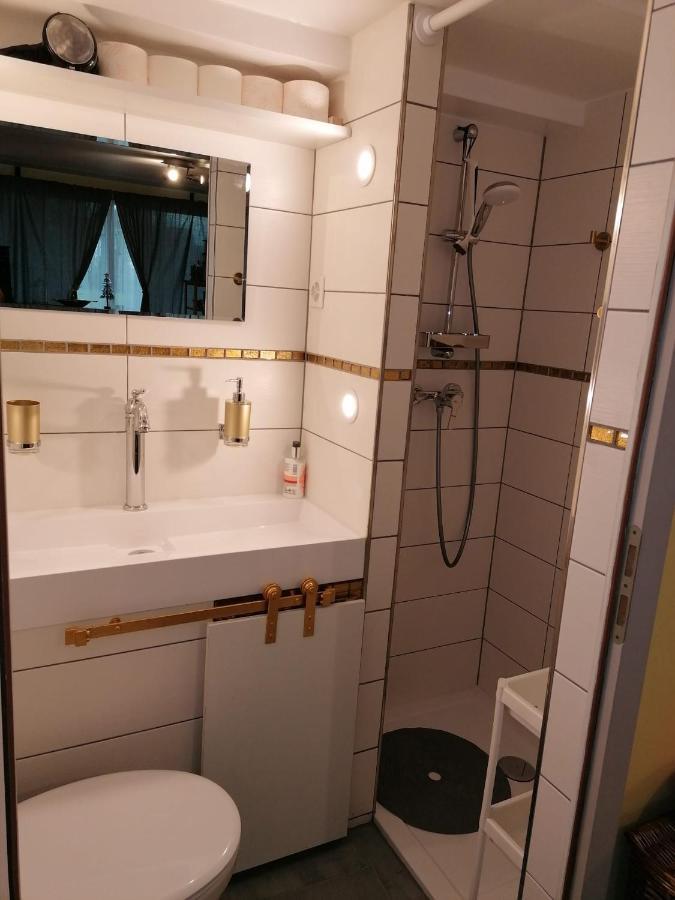 Ravissant Studio Neuf, Entierement Equipe, Fonctionnel De 40 M2 Avec Entree Independante Dans La Campagne Campagnes Massonnens Exterior foto